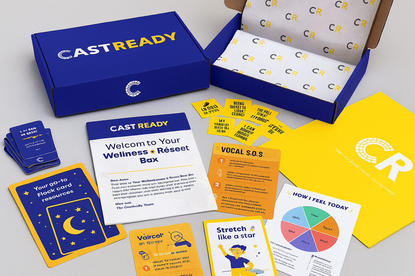 CastReady Wellness & Reset Box