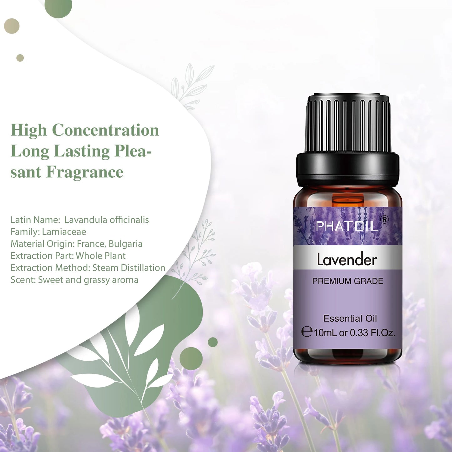 Lavender Essential Oil (10ml) — Calm for Reset & Focus